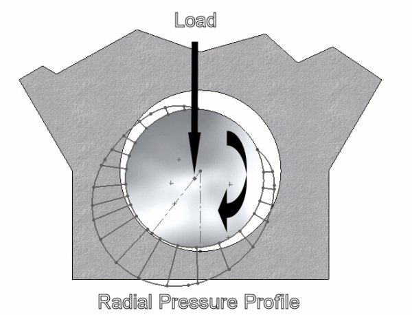 Hydrodynamic Pressure Profile - Radial