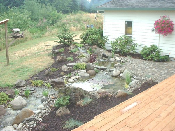 Back Looking Northeast